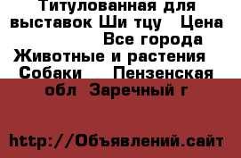 Титулованная для выставок Ши-тцу › Цена ­ 100 000 - Все города Животные и растения » Собаки   . Пензенская обл.,Заречный г.